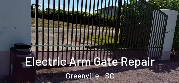 Electric Arm Gate Repair Greenville - SC