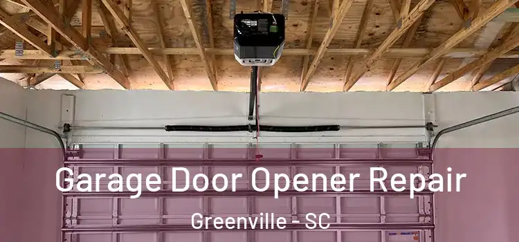  Garage Door Opener Repair Greenville - SC