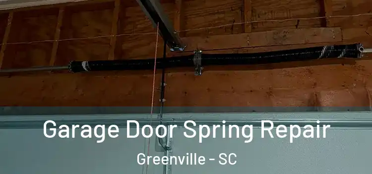  Garage Door Spring Repair Greenville - SC