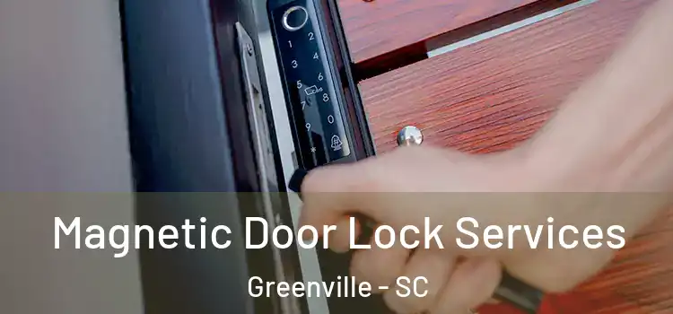 Magnetic Door Lock Services Greenville - SC