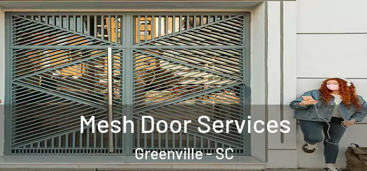 Mesh Door Services Greenville - SC