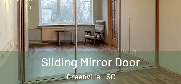  Sliding Mirror Door Greenville - SC
